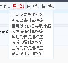 4.1.12 其它标签 kesion 专注新教育技术服务商 在线教育系统 内容付费系统 免费在线网校系统平台 在线课堂系统 知识付费系统 在线考试系统及建站cms提供服务商