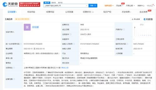 张庭夫妇投资成立实业公司
