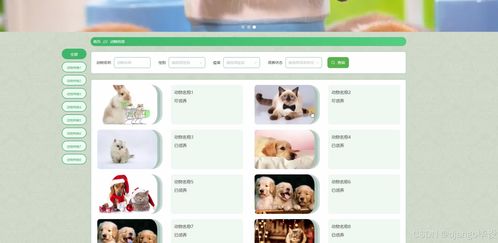 计算机毕业设计django vue冠鹏公司动物保护协会网站系统